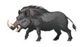 Fierce Wild Boar Vector DarkCoated Forest Beast, vector design Generative AI Royalty Free Stock Photo
