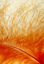 Fiery abstract background