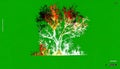 Fiery Abstract Tree Digital Art on Green Screen Royalty Free Stock Photo