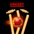Fiery ball breaking the stumps for Cricket Royalty Free Stock Photo