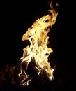 A fiery campfire blazing at night