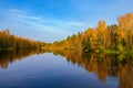 The fiery colours of autumn foliage on trees are reflected in the calm water of the forest lake at sunny day Royalty Free Stock Photo