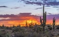 Fiery Desert Sunrise In Brown Ranch Preseve In Scottsdale, AZ Royalty Free Stock Photo