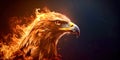 A fiery eagle& x27;s head Royalty Free Stock Photo