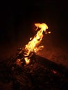 Fiery Embrace: Mesmerizing Bonfire Illuminates the Night Royalty Free Stock Photo