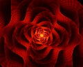 Fiery flower, the red flower of love Royalty Free Stock Photo