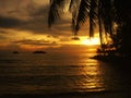 Fiery glow sunset over a beautiful tropical beach and ocean water. Different colours of clouds and the silhouette of palm tree. Royalty Free Stock Photo