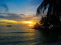 Fiery glow sunset over a beautiful tropical beach and ocean water. Different colours of clouds and the silhouette of palm tree. Royalty Free Stock Photo