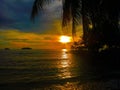 Fiery glow sunset over a beautiful tropical beach and ocean water. Different colours of clouds and the silhouette of palm tree. Royalty Free Stock Photo