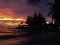 Fiery glow sunset over a beautiful tropical beach and ocean water. Different colours of clouds and the silhouette of palm tree. Royalty Free Stock Photo