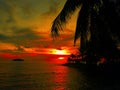 Fiery glow sunset over a beautiful tropical beach and ocean water. Different colours of clouds and the silhouette of palm tree. Royalty Free Stock Photo