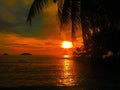 Fiery glow sunset over a beautiful tropical beach and ocean water. Different colours of clouds and the silhouette of palm tree. Royalty Free Stock Photo