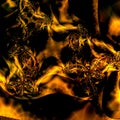 Fiery Gold and Black Abstract background pattern design or wallpaper