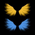 Fiery Golden and Blue Wings on Black Background. Vector Royalty Free Stock Photo