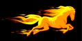 Fiery horse