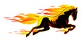 Fiery horse