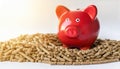 Fiery Investments: Wood Pellets and the Red Piggy Bank