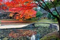 A fiery maple tree reflected in the water of a lake and a stone bridge spanning over the pond in Koishikawa Korakuen Royalty Free Stock Photo