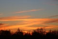 Fiery orange clouds over trees at sunset Royalty Free Stock Photo