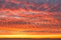 Fiery Orange Sunrise Sky with Dramatic Mackerel Cloud Formation Royalty Free Stock Photo