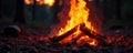 Fiery orange sunset reflected in campfire flames , scenic, background Royalty Free Stock Photo