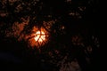 FIERY ORB OF SETTING SUN AND ORANGE GLOW VISIBLE BETWEEN TREES