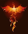 Fiery phoenix bird ideal for tattoo, logo and printing Royalty Free Stock Photo