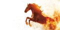 Fiery rearing horse in motion with dynamic flames and energy Royalty Free Stock Photo