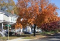 Autumn neighborhood