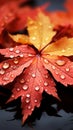 Fiery red and yellow leaves fall gently in an autumn breeze.