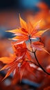 Fiery red and yellow leaves fall gently in an autumn breeze.