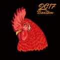 Fiery Rooster. Symbol of the coming year. head.