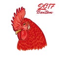 Fiery Rooster. Symbol of the coming year. head.