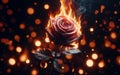 fiery rose golden bokeh background hot love concept