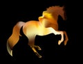 Fiery silhouette of an Arab stallion. red horse runs on fire