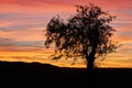 Fiery sky and black silhouette Royalty Free Stock Photo