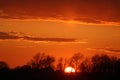 Fiery sky at sunset, sun on horizon behind trees Royalty Free Stock Photo