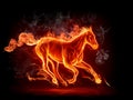 Fiery stallion Royalty Free Stock Photo
