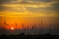 Fiery Sunset of the Beach