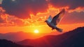 Fiery sunset, dove in flight, dynamic composition , bird, dynamic Royalty Free Stock Photo