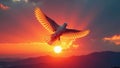 Fiery sunset, dove in flight, dynamic composition , intense, movement Royalty Free Stock Photo