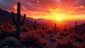 Fiery sunset over prickly pear cacti in Arizona s Sonoran Desert , sunset, image Royalty Free Stock Photo