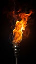 Fiery torchlight on black, close up, a vivid dance in darkness