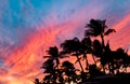 Fiery tropical sunset with the black silhouettes of palm trees in Hawaii Royalty Free Stock Photo