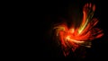 Fiery unique background, in the form of solar prominences, fiery whirlwinds. on a black background. Illustration