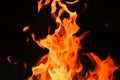 Fiery Wallpaper. Tongues Of Flame, Sparks Close-up.Fire On A Black Background.
