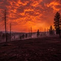 Fiery Wildfire Sunset Over Burnt Forest Landscape Royalty Free Stock Photo
