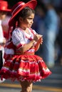 The Fiesta DC Parade