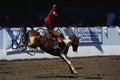 Fiesta Rodeo & Stock Horse Show