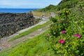 Fife Coastal Path near Crail